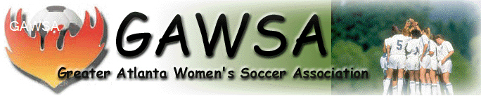 Georgia Soccer banner